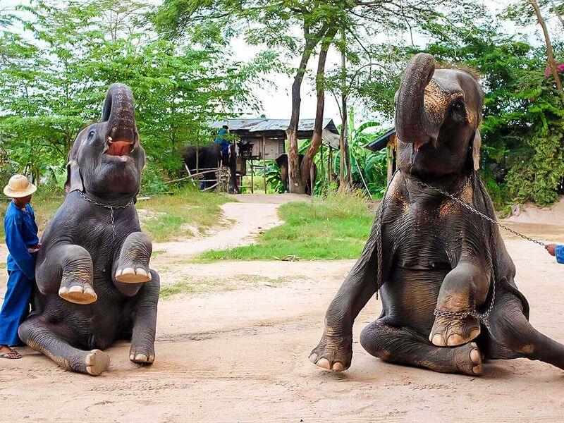 VIETNAM KAMBOÇYA LAOS TURU-SQ