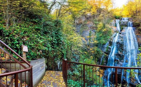 GRUP DÜZCE ŞELALER TURU GÜNÜBİRLİK