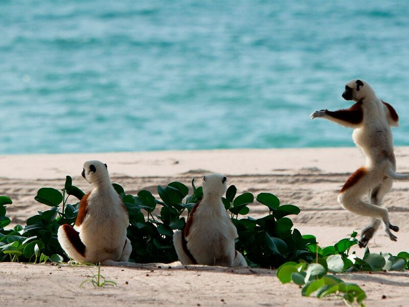 MADAGASKAR - MAURİTİUS TURU
