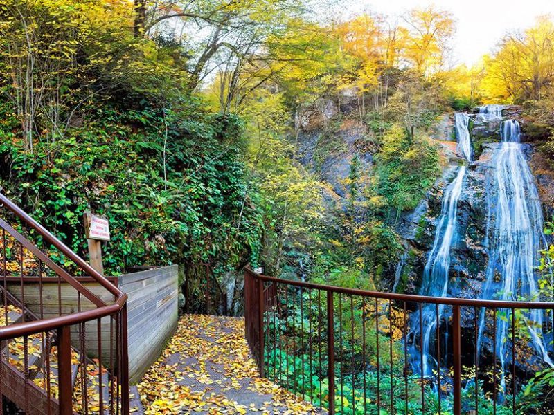 GRUP DÜZCE ŞELALER TURU GÜNÜBİRLİK