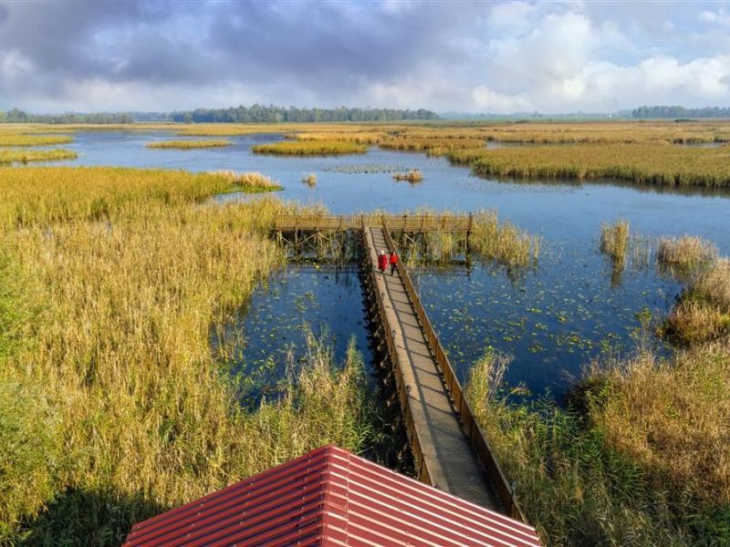 GRUP DÜZCE ŞELALER TURU GÜNÜBİRLİK