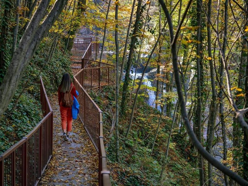 GRUP DÜZCE ŞELALER TURU GÜNÜBİRLİK