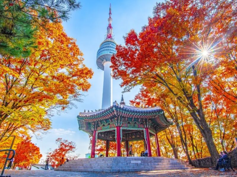 Comfort Japonya & Kore Turu Türk Hava Yolları ile 9 Gece Ekstra Turlar Dahil!! - NRT-ICN - 12 Mayıs